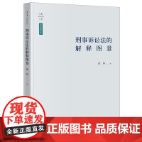 / 刑事诉讼法的解释图景 董坤 著 法律出版社 法学新青年 9787519768089