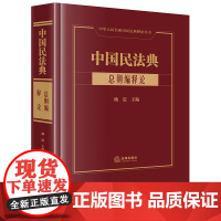 正版 中国民法典·总则编释论 杨震主编 法律出版社