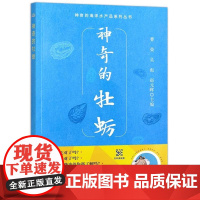 神奇的牡蛎 曹荣 吴彪 赵元晖 牡蛎食用历史生物学特征主要种类 产品加工全流程质量控制营养功效产品加工技术食用方法书