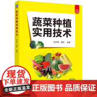 蔬菜种植实用技术 多茬蔬菜种植书籍高效生态模式农业技术栽培种菜书蔬菜种植两茬四茬种植茬口蔬菜瓜果品种选择整地病虫害防治