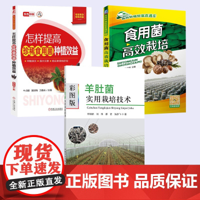 [全3册]彩图版羊肚菌实用栽培技术+怎样提高珍稀食用菌种植效益+ 食用菌高效栽培 菌栽培种植新技术书大棚磨姑菌种农业种植