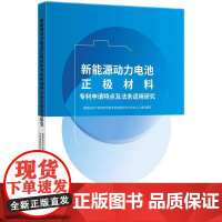 正版2024新书 新能源动力电池正极材料专利申请特点及法条适用研究 国家知识产权局专利局专利审查协作北京中心 知识产权出