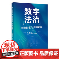 2024新书 数字法治理论探索与实践进路 贾宇