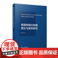 正版2024新书 美国网络化制裁理论与案例研究 吴限 复旦大学出版社9787309173789