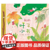 我的叶子小书 石晏如|绘画:许文绮