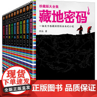 藏地密码珍藏版大全集 共10册何马作品 一部关于西藏的百科全书式小说同名影视火热制作中悬疑冒险励志当代文学书籍