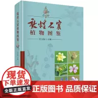 敦煌石窟植物图鉴科学出版社