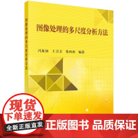 图像处理的多尺度分析方法科学出版社