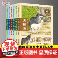 沈石溪动物故事注音本系列 全6册斑羚飞渡 老象恩仇记 猎狗花鹰真狼与假狈会做生意的狐狸与狗熊比举重阅读小学生课外书籍