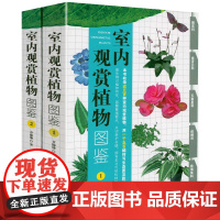 [ 全2册]室内观赏植物图鉴1+2 收录近1000种室内观赏植物图鉴百科 辨识植物图片手绘插图 养花室内栽植户外绿化景观