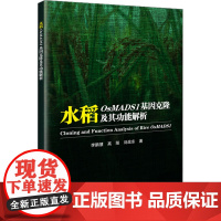 水稻OsMADS1基因克隆及其功能解析 麦稻的典型表型 水稻粒型的功能 稻米外观品质与贮藏蛋白含量的调控功能参考指南