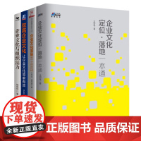 企业文化有效落地4册:双高企业文化:让企业文化简单有效+企业文化与组织活力+企业文化落地本土实践+企业文化定位·落地一本