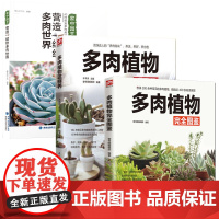 3册 多肉植物完全图鉴+多肉植物这样养+营造缤纷多肉世界 书籍