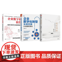 企业数字化3本套:双桨鸿惊 企业价值观与数字化的力量+企业数字化转型全盘实操——从战略到落地+企业数字化转型