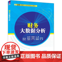 [正版新书]财务大数据分析 刘占双 姚世斌 清华大学出版社 财务大数据分析,大数据分析