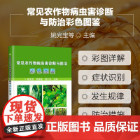 常见农作物病虫害诊断与防治彩色图鉴 农作物病虫害识别速查手册 麦稻玉米高粱谷大豆花生油菜烟草病虫害防治技术大全书