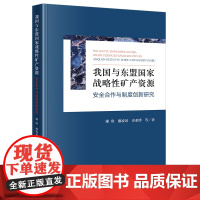 2024新书 我国与东盟国家战略性矿产资源安全合作与制度创新研究 廖欣 廖凌风 史亚博 等 著 法律出版社