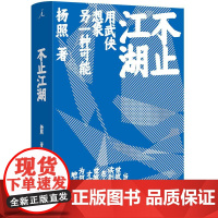 不止江湖 用武侠想象另一种可能 武侠小说与传统文化、历史与时局、现实与理想 杨照 著 金庸 武侠小说 射雕英雄传 解读