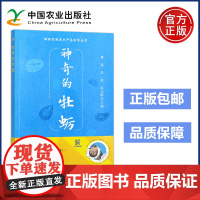 农业 神奇的牡蛎 曹荣 吴彪 赵元晖 中国农业出版社