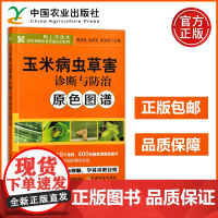 农业 玉米病虫草害诊断与防治原色图谱 郭线茹 袁虹霞 李洪连 码上学技术·农作物病虫害快速诊治系列 中国农业出版社