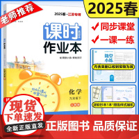 2025春通成学典课时作业本初中化学九年级9年级下册人教版江苏专用 初三下册教材同步基础训练随堂测试卷测评专项