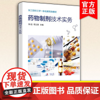 药物制剂技术实务 陈迪 颗粒剂制备与质量检测 片剂制备与质量检测 硬胶囊剂制备与质量检测 软膏剂制备 药物制剂技术人员