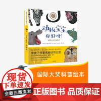 《动物宝宝,你好呀!》全6册 梅福克斯 著 中信出版社