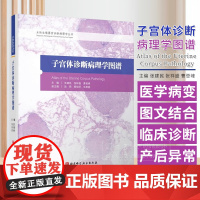 子宫体诊断病理学图谱 女性生殖器官诊断病理学丛书 张建民 张祥盛 曹登峰 主编 北京科学技术出版社 9787571433