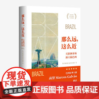 那么远 这么近 互联网市场新大陆巴西 快手研究院·巴西专家组 中国人民大学出版社 9787300330693