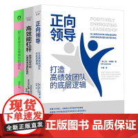 高效团队塑造3本套:正向领导:打造高绩效团队的底层逻辑+高效能杠杆+别让低效会议毁掉你的团队