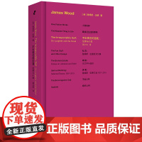 不负责任的自我:论笑与小说 小说机杼作者詹姆斯·伍德文学批评集 北京联合出版公司