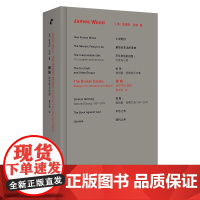 破格 詹姆斯·伍德文学评论集 趣犀利点评契科夫福楼拜等22位西方经典小说大师 外国文学评论 北京联合出版公司