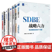 [8册]SDBE战略、BLM战略、DSTE实战:SDBE战略六力+SDBE战略与洞察+卓越运营+领导力及人才+战略架构师