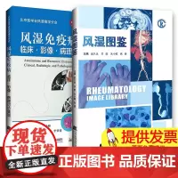 2本风湿图鉴+风湿免疫病临床影像病理讨论集锦 风湿免疫病学临床图鉴图谱图谱病理学影像学检查诊断书籍风湿免疫科风湿病书籍