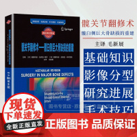 髋关节翻修术 髋臼侧巨大骨缺损的重建 中髋臼侧骨缺损的处理原则及修复标准 湖南科学技术出版社9787571024253