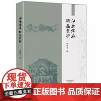 正版 汉画像石精品赏析 杨絮飞 大象出版社 R2357