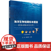 海洋生物馆藏标本图鉴——软体动物双壳贝类(二)