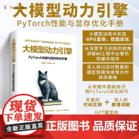 清华正版 大模型动力引擎 PyTorch性能与显存优化手册 张爱玲 杨占略 清华大学出版社 大模型 优化