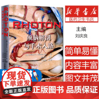 RHOTON颅脑解剖与手术入路 美 罗顿著 刘庆良 忠诚 神经外科学显微镜大脑开颅人体彩色解刨图谱血管吻合技术颅底中国科