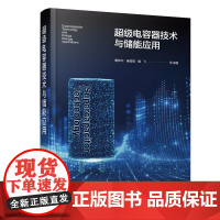 超级电容器技术与储能应用 超级电容器基本原理与不同种类超级电容器构成要素 碳电极材料批量制备方法 电化学应用技术人员参考