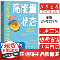 高能量状态 实用乐观主义 走出内耗 建立边界 美国资深心理治疗师临床经验总结 活出高能量状态