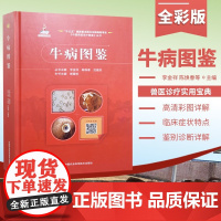 牛病图鉴 牛养殖技术书籍 牛病诊断与防治 养牛技术书籍 牛高效养殖关键技术入门书籍 牛病诊疗图谱兽医手册养牛书籍9787