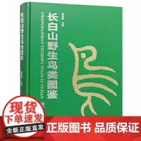 长白山野生鸟类图鉴 周树林 收录野生鸟类326种 1371 中国林业出版社