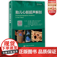 胎儿心脏超声解剖 视频升级版 一本书彻底搞懂胎儿心超扫查切面 胎儿心脏 超声 解剖