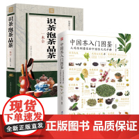 2册 中国茶入门图鉴+识茶泡茶品茶一本全.彩图全解 喝茶懂茶中国茶文化实用茶学茶艺百科全图鉴功效储藏制作工序茶疗养生保健