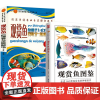 2册 观赏鱼图鉴:走进162种观赏鱼的神秘世界+观赏鱼的喂养与疾病防治 养鱼大全选鱼饲养与鉴赏图典养殖入门世界热带淡水鱼