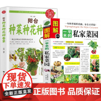 2册 图解一平米的私家菜园+阳台种菜种花种香草 种植技术新手入门四季养花种花大全家庭养花种菜花卉种植宝典书籍