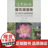 辽宁铁岭莲花湖湿地野生维管束植物图谱 7921 科技 中国林业出版社