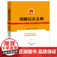 图解民法总则 民法研习入门参考书籍 民法学教材书 法考司考参考资料书籍 民法典总纲 民法思维民事权利宣言书