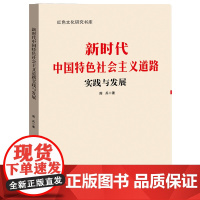 新时代中国特色社会主义道路实践与发展 周兵 红色文化研究书库